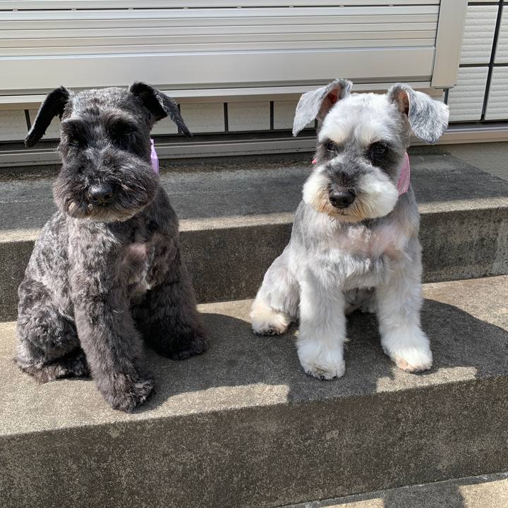 D96f1929 9b9e 41b6 8ae3 408b5d9f2a2a 1653714840085