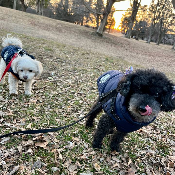 D96f30c1 31b5 4f8a 8694 3bed0d8e2585 1768728586380