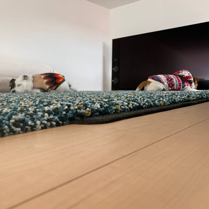 D96fba83 fa69 47ff 9fd6 eab4b256a58e 1549937132527