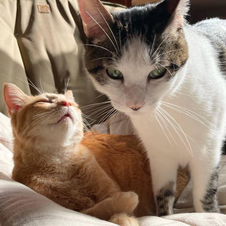 D96fd875 e749 46f0 ba38 48cd9b9302c6 1764467611324