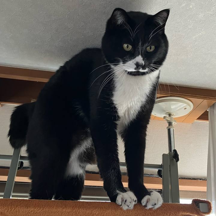 D9702e0b 5d14 4ef5 97f8 86705e5e52c7 1742783758761