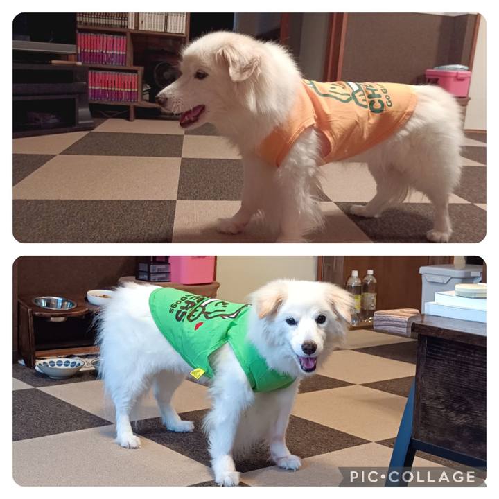 D9704937 1d9e 430b b497 382622828eac 1754874470765