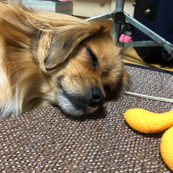 D970d44a c64d 4f32 a9f4 5a9fcbb7c24f 1538262622338