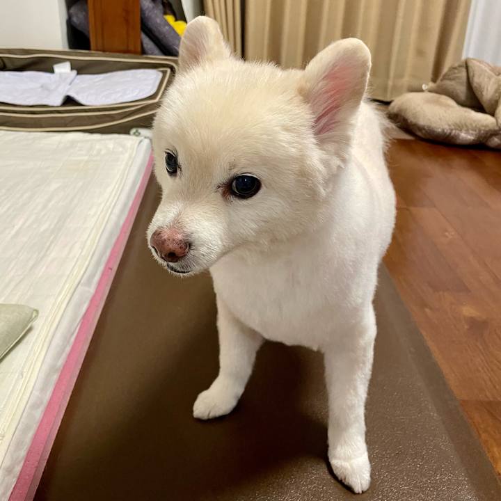 D970d8bc 60ea 4200 b8d1 26357307e3a3 1759916181282