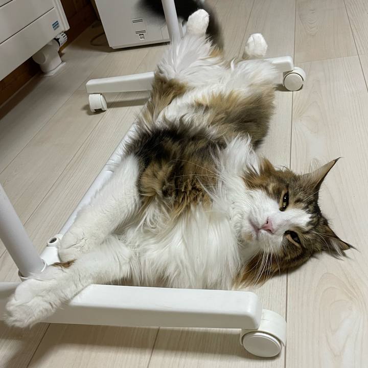 D970e0eb 5a41 47f6 8182 fb41d1150b8d 1670181720223