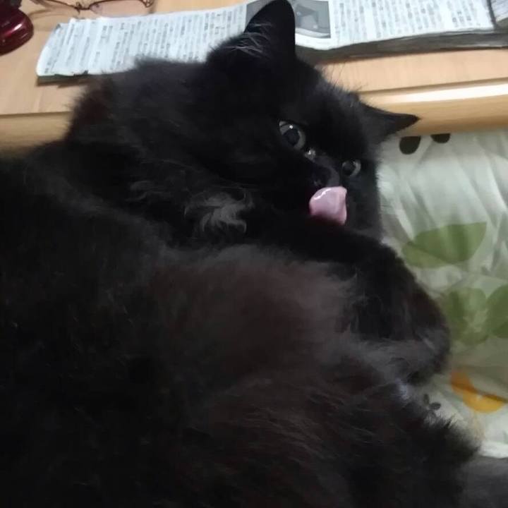 D970e409 4b1c 4fa8 b669 3b53537850ec 1544706998331