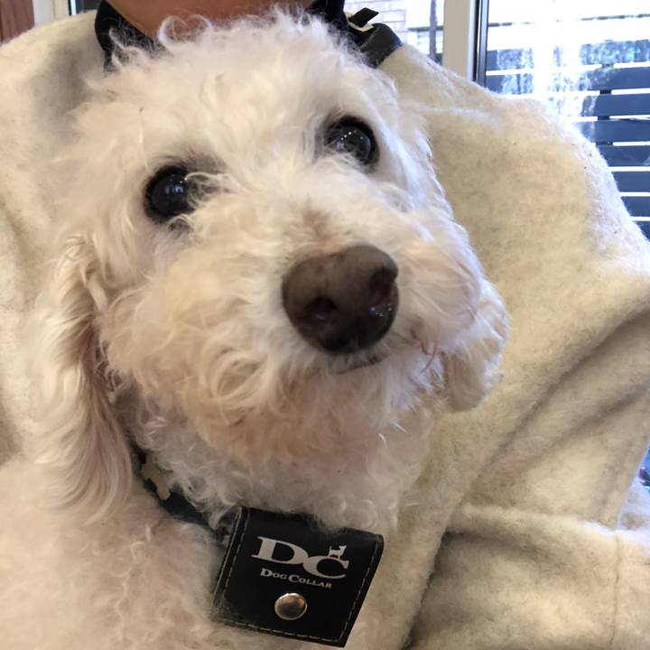 D970f06c c676 4a97 8056 22fd77ecdc00 1578661309861