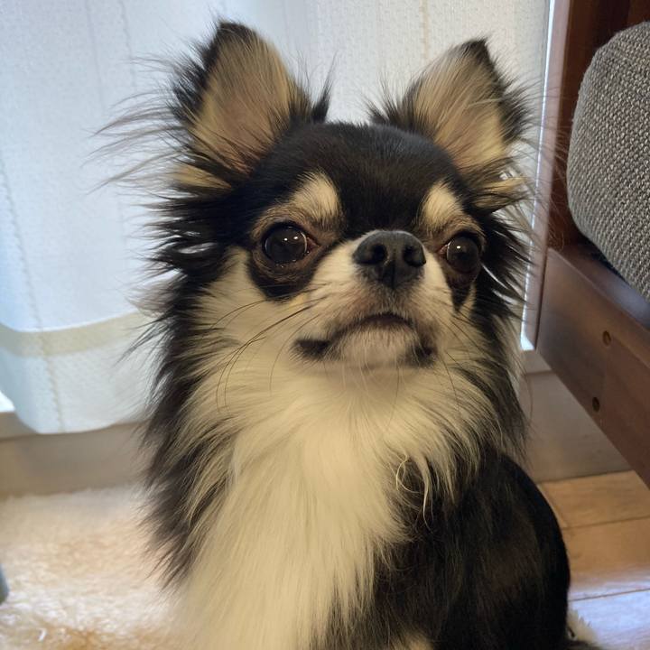 D970f3a8 c35d 4eb3 a35e 26d0432d2b3b 1609378847799