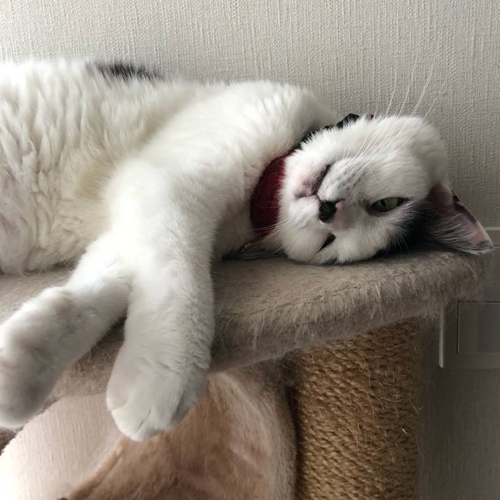 D9712349 9718 4de6 83d8 c81af0d59608 1530070961647