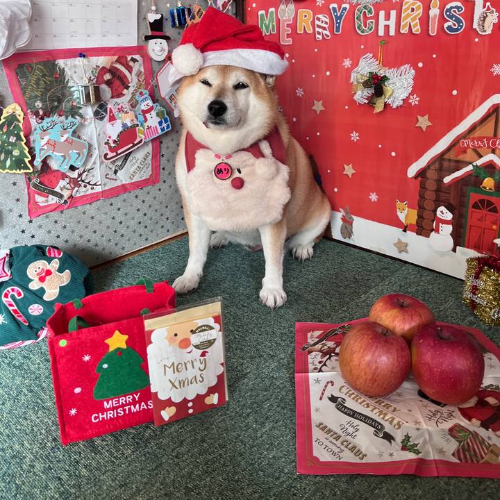 D9713a45 9d5f 4d54 95a7 d154f0b13108 1703131016286