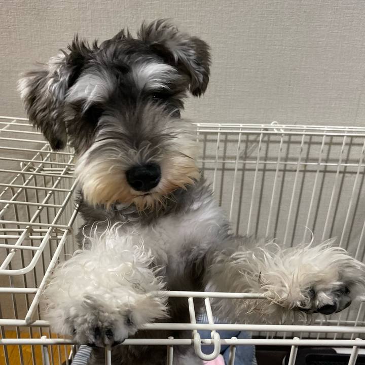 D9714944 1fac 4213 afde 55c748284173 1571326549920