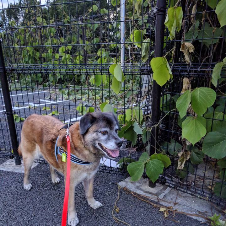 D97156e0 6dd5 4922 947b e69ae2540253 1527598005930