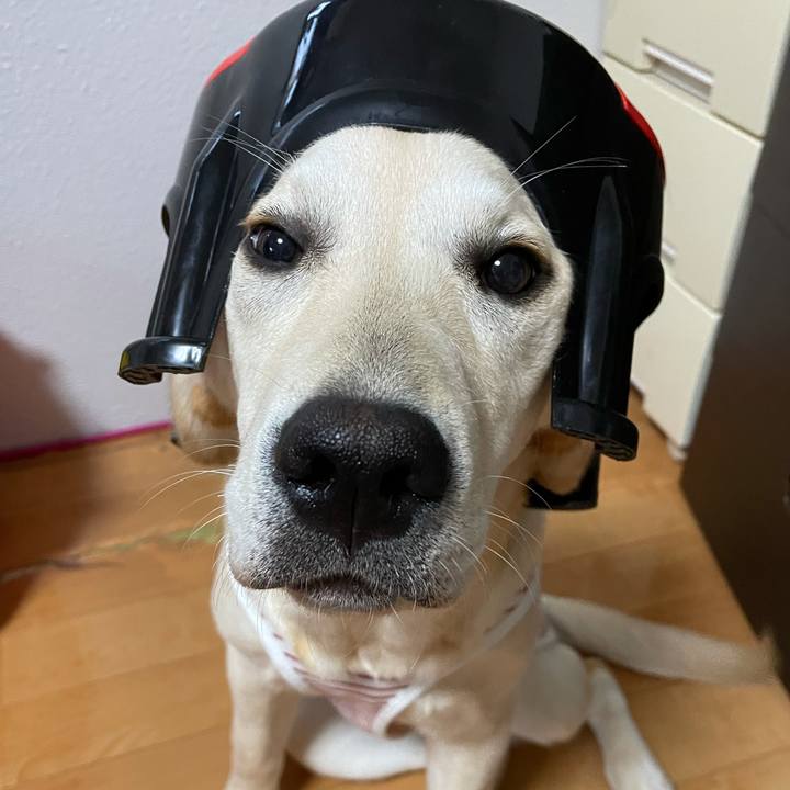 D971ad22 68d2 414b 9cd1 9a58490d4448 1622370341930