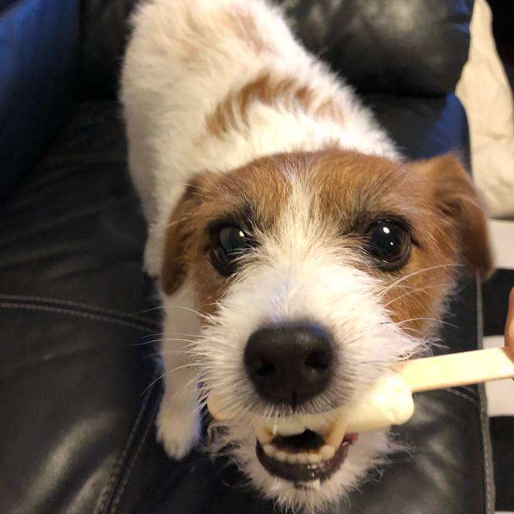 D971be8d 5113 4398 8be2 47de668eef3b 1571050588964