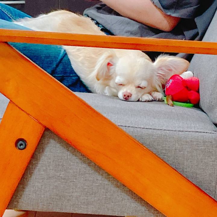 D971c9e4 0ec9 4220 95a5 a82c80b7e2ff 1620684095839