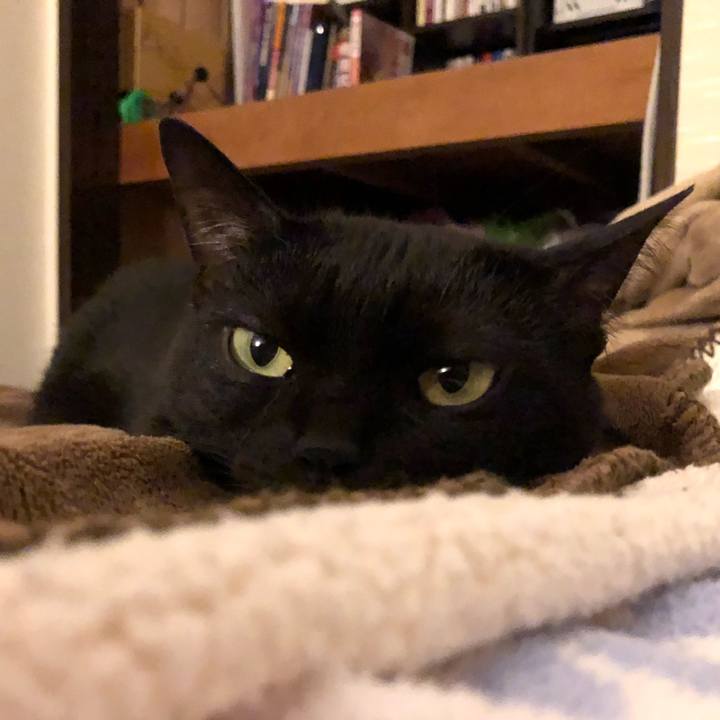 D971e3c9 4a4c 4a4a 8e2b 1293911f24da 1588463503783