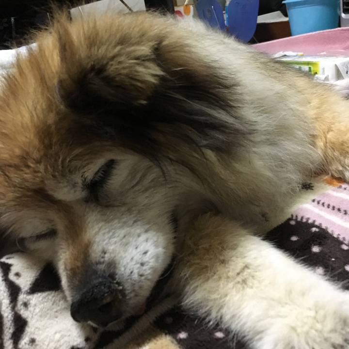 D971f96b 0eb7 4a98 827f 4f16452d84ca 1623652908949