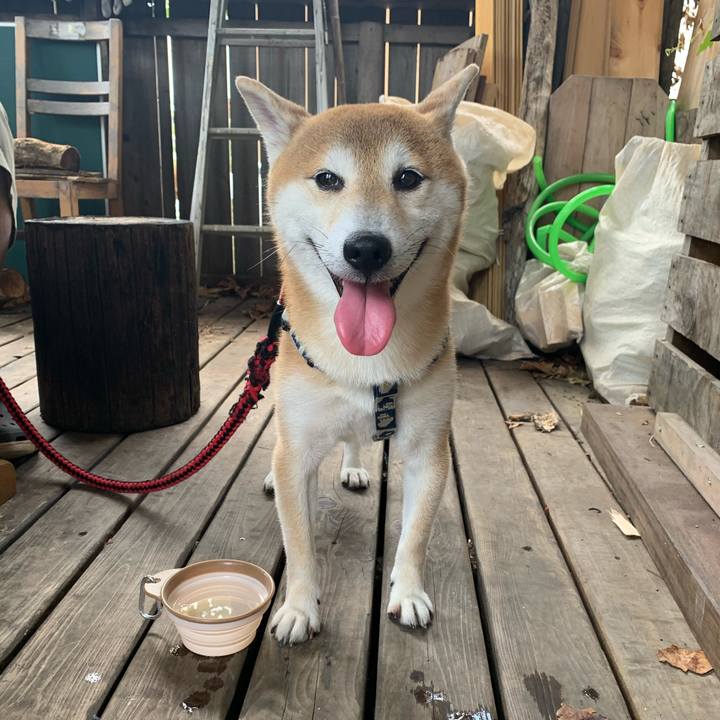 D9721579 5c38 4485 b0c7 abd5ec3f3367 1598243336409