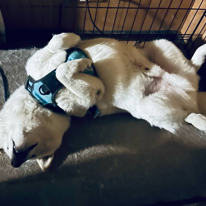 D9724c3e c2d3 476b 871a cc23deb4cfe7 1725746614611