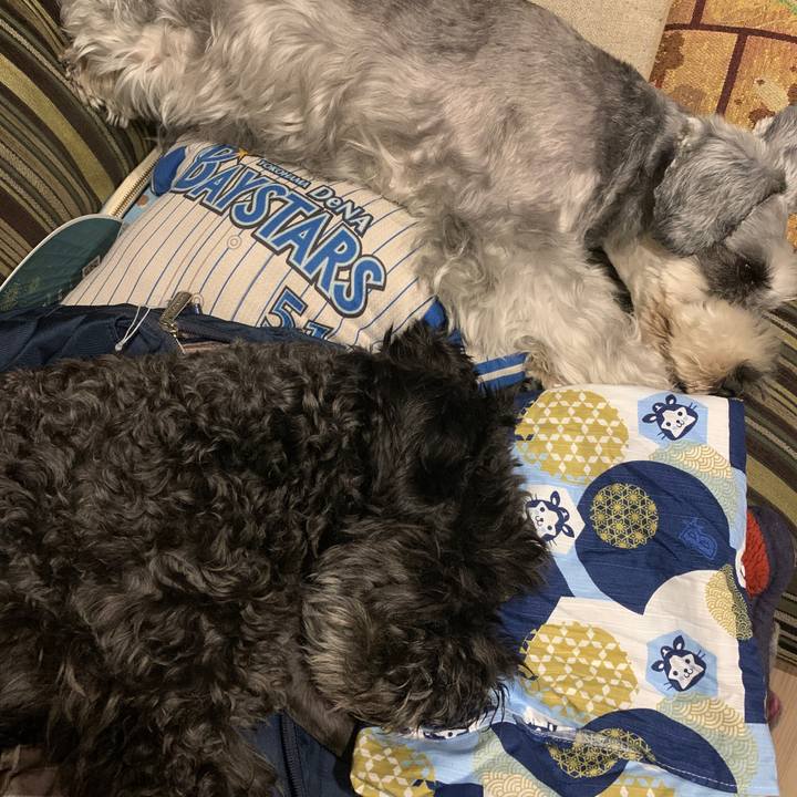 D9726214 6d42 447b 8cf4 2c5c7a839435 1661084915364