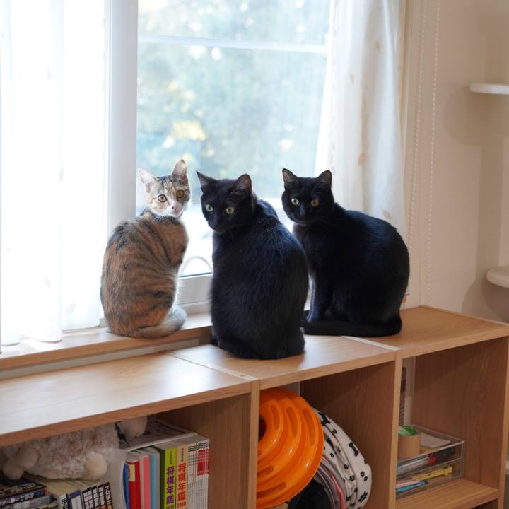 D97291a6 2004 4ff4 8231 07a64f8dc237 1577753232604