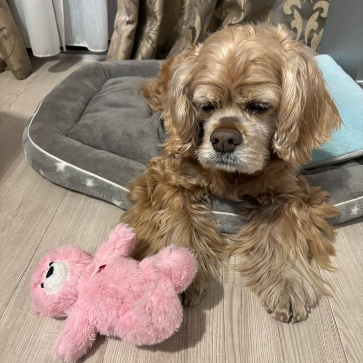 D9729c04 5e7d 41ad 971e be98157599ce 1768489337056