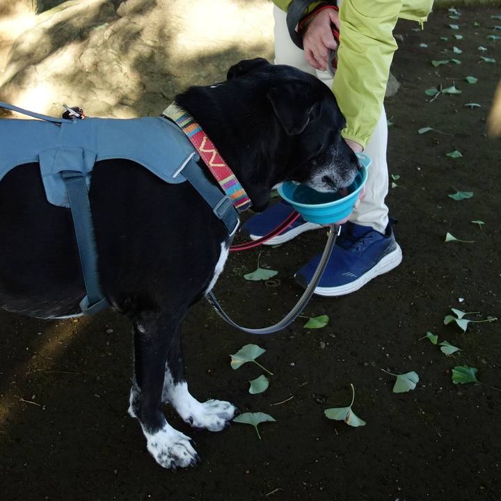 D972b7ba 3541 4931 a76c c7890fde5d63 1731373013080