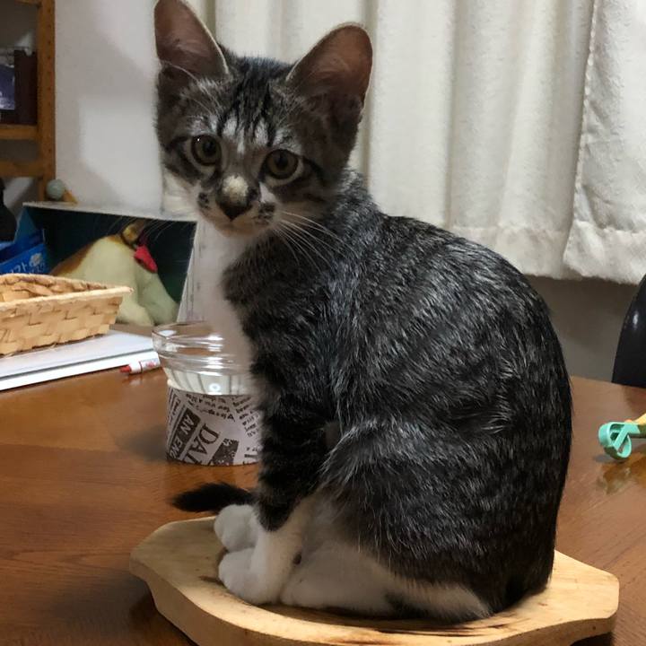 D972c856 ba2b 4ab7 963c 23ca31828649 1637496376988