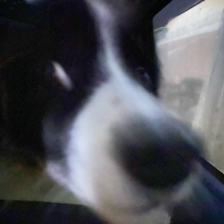 D972f31e 88f9 466e b891 712b72a99621 1672091936944