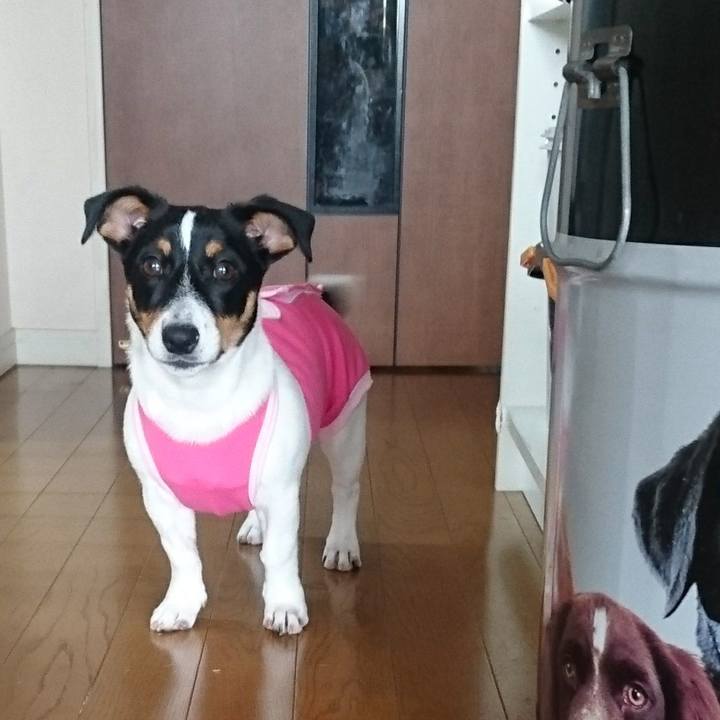 D972f8e8 4a6a 45dc 8722 df07d7efd853 1518783710453