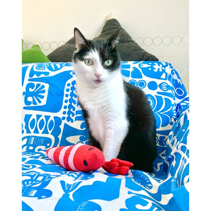 D9735710 6e53 4f29 b7fa d1b65e3c7c45 1627960782852