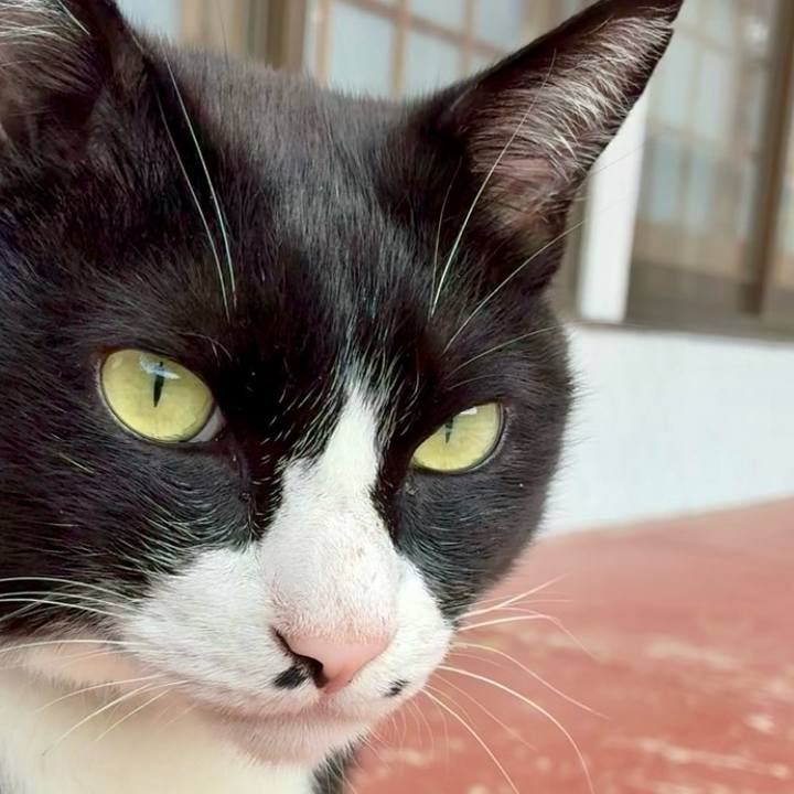 D973583f 8ef6 4433 9b87 19d0b00b34c4 1746497965684