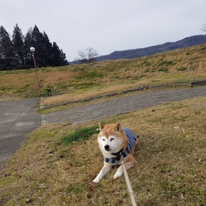 D9737718 53e1 4d98 953e 7d4713e60dff 1702963149355