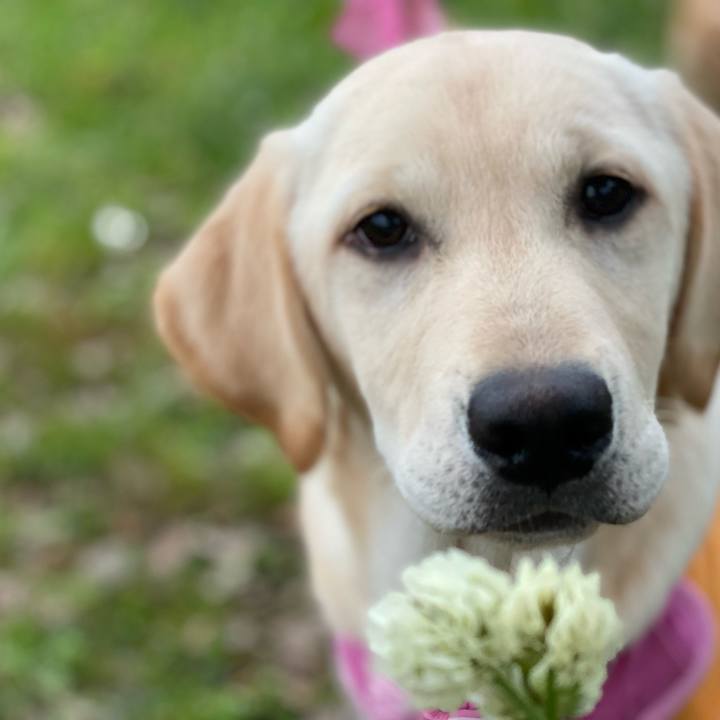 D9743385 4d5a 4d4e bc27 cb98fe109266 1616579379927