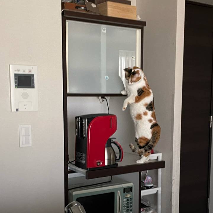 D9743a92 47e8 4679 89a6 31ed5f8154a2 1617144750698