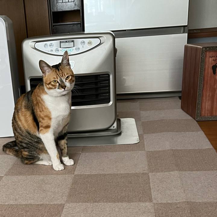 D9744a3f 9fdd 43cb a5de d504e4a8870d 1679265198965