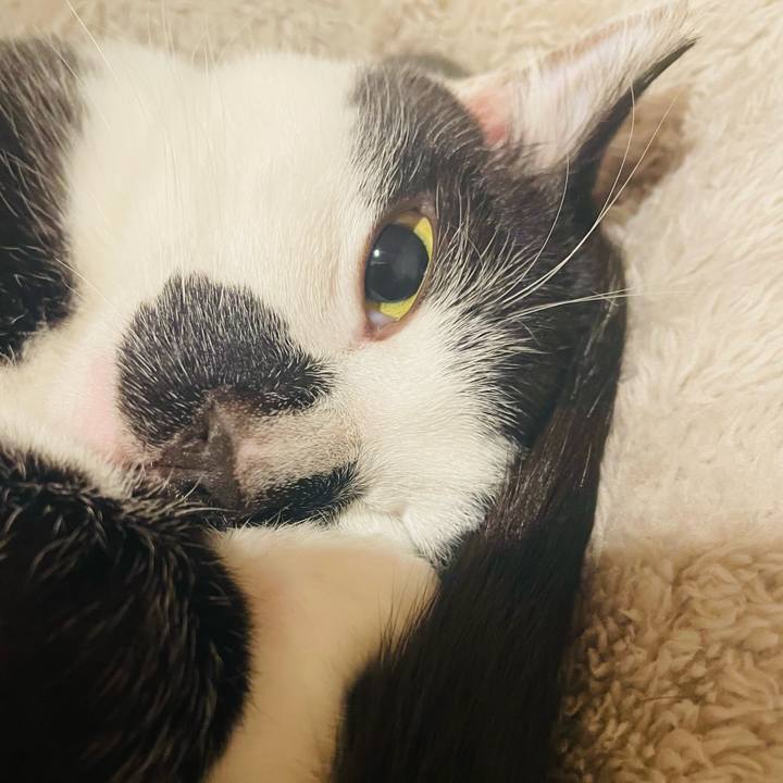 D9745d83 92e2 45de af67 8471ca0d79ee 1771712836703