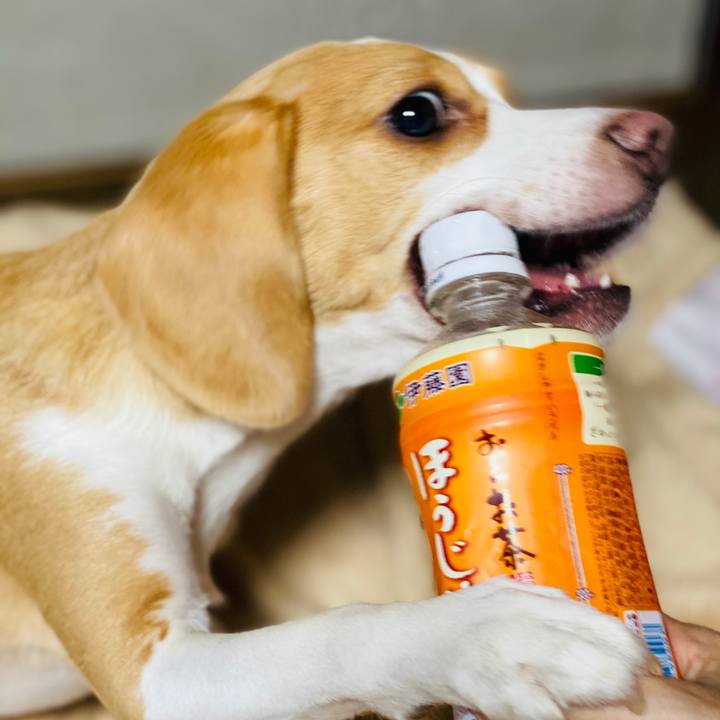 D9749272 8e69 41a9 93a4 84ccd60fcb04 1571019720191