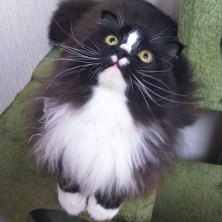 D974950d 6801 4497 acde 035fbe1c8471 1661078913648