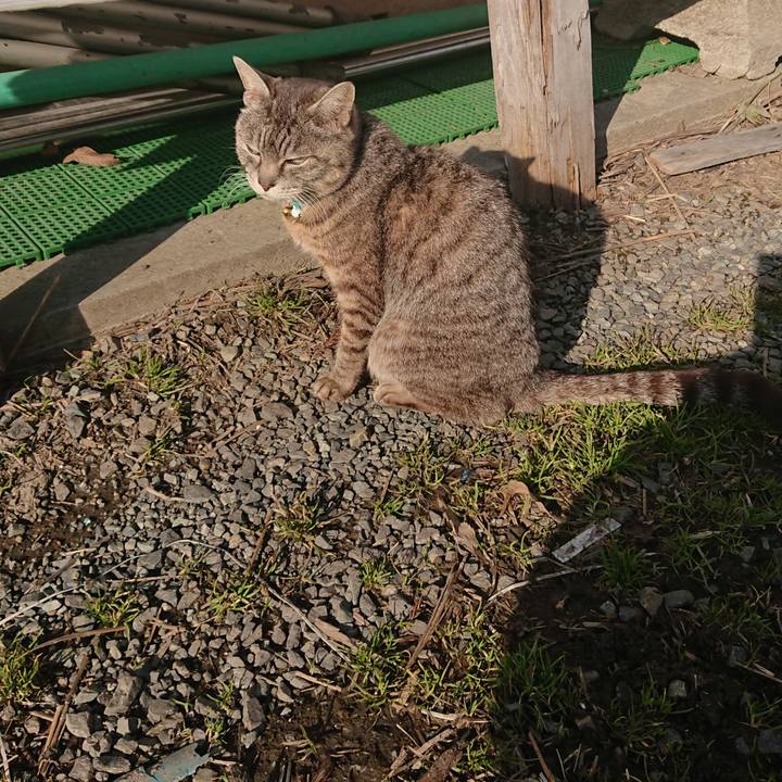 D9749fcb f8f5 4a05 9278 d5dd317500b9 1551594767596