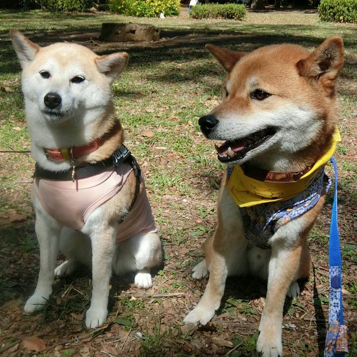 D974b160 2814 4890 8bcf 8f0abe63b4aa 1555163016852