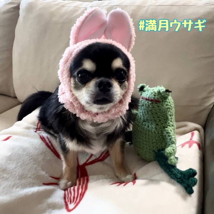 D974fcd8 03d0 46e4 883f 0b3842e2a183 1726621058824