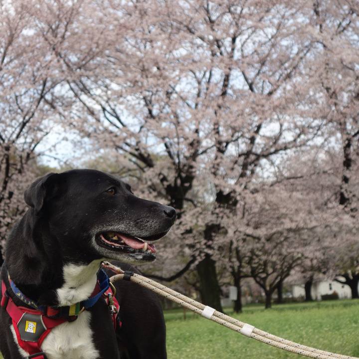 D974ffb1 1311 4ae5 9df1 4b0db1143dcb 1679622252571