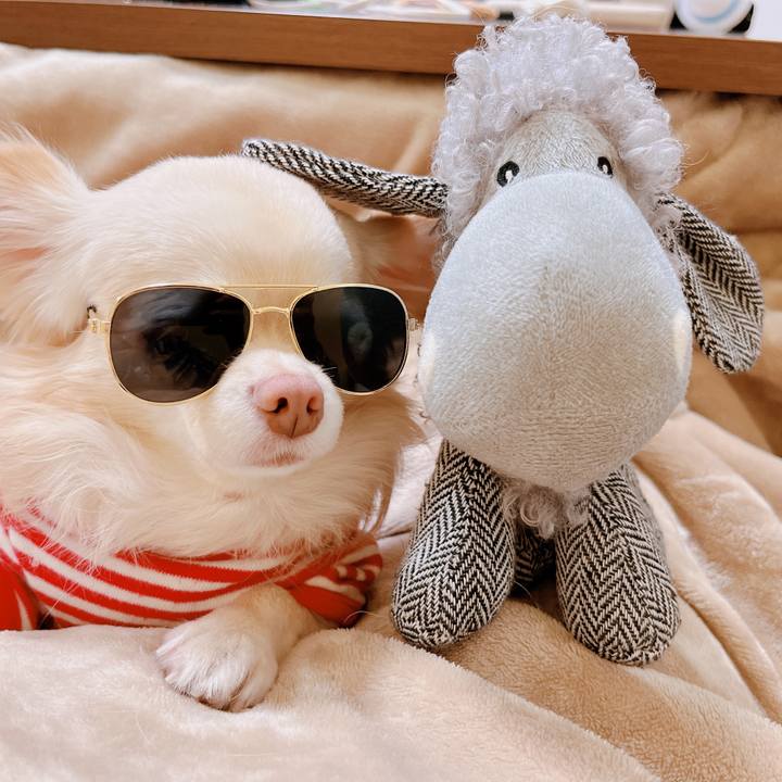 D97502f6 6638 4d4b a6c7 23f4d24720cc 1670758913615