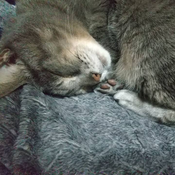 D9751b86 7459 4fd7 8209 dcd8ab0b8e2c 1673095275945