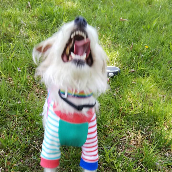 D9756bd3 293d 400b b817 7a941905d357 1524382431216