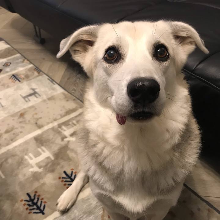 D9757ab9 4d37 41da 8e21 328ad96d46b6 1607168735138