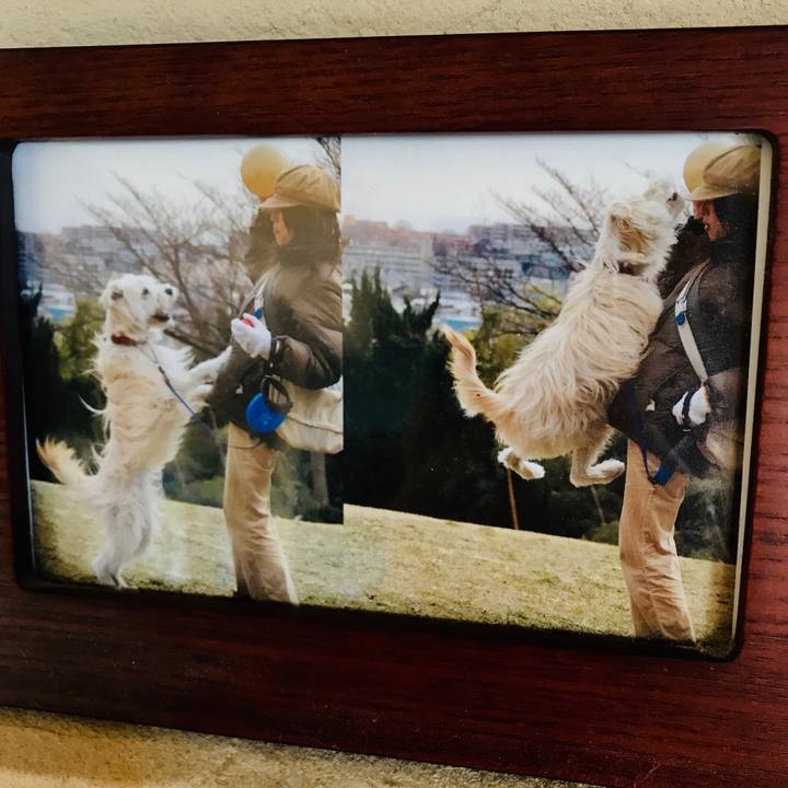 D975b1b5 683b 49f8 a598 b2e0e1ff14f3 1610601142309