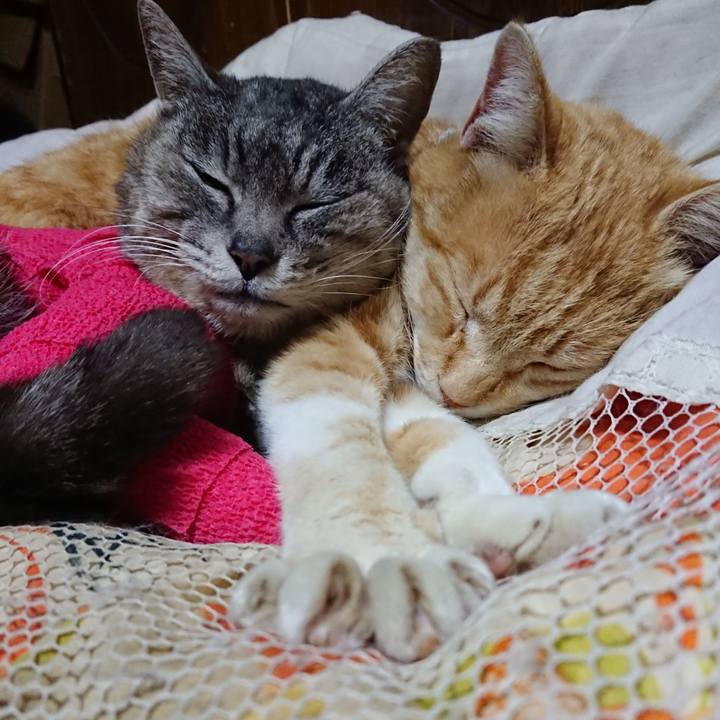 D975b887 843a 4c1a 802c ae050e10fa3e 1586607405447