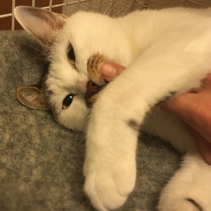 D975d2b9 9622 43c4 80fb ffaeb111e17a 1542630175380